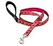 LupinePet 3/4" Heart 2 Heart Padded Handle Dog Leash 6-foot, for Medium and Larger Dogs