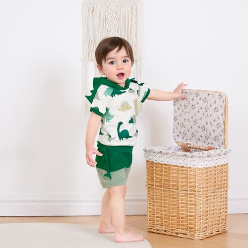 Toddler Baby Boy Hooded Summer Clothes Dinosaur Short Sleeve Color Block Shorts Set Cute Infant Summer Outfit2