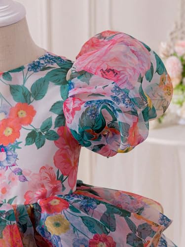 Image of TAGAS Girls' Princess Dress | Girl Floral Print Dress |Dresses birthdaydress for Babygirls |