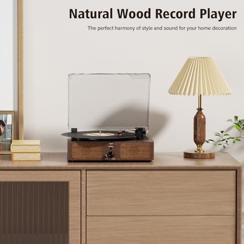 Image of Vinyl Record Player Turntable with Built-in Bluetooth Receiver & 2 Stereo Speakers, 3 Speed 3 Size Portable Retro Record Player for Entertainment and Home Decoration