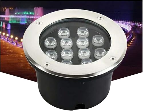 Lampe LED ronde de jardin étanche en acier inoxydable 1W 6W 12W