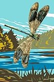audioquest dragonfly black manual  Dragonfly Journal: Blank Lined dragonfly journals for writing, dragonfly journal for women