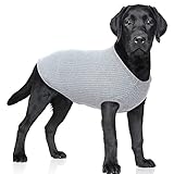ropa para perros grandes moldes gratis ▶️ Ropa Perro Pequeño y Medianos – La camiseta perro Hjumarayan es para chihuahua, perro maltés, caniche, bulldog frances, salchicha, Yorkshire Terrier, caniche, galgo italiano, Bichon Frisé, Cocker Spaniel y así sucesivamente.