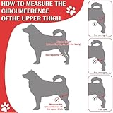 CiCixixi Hunde Kniebandage Hinterbein, Hunde Kniebandage, Hunde Hinterbein Bandage Hunde Klammer Hinterbein Hunde-Kniestütze für Hunde Klammer Hinterbein (L)