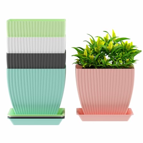 Image of HOMIFLY 5 Pack Plastic Square Flower Pots with Drainage & Bottom Tray /Lightweight, UV & Weather Resistant /6.5 Inch Planters for Indoor /Outdoor /Home /Balcony /Terrace /Garden Plant Pots (Multicolour)