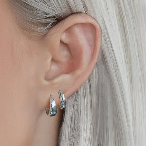 Créoles Plaqué Or Roheafer Boucles D'Oreilles Femme Hypoallergéniques Argent Clous Flat Back Acier Chirurgical Créoles Petites Ensemble Cartilage Multi-Piercing Boucle Doreille Or Femme