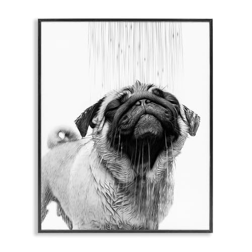 'Pug Bathroom Splash'| Framed Giclee Art