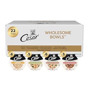 Cesar Wholesome Bowls Adult Wet Dog Food Variety Pack, 3 oz. Bowls (22 Count, Pack of 1)