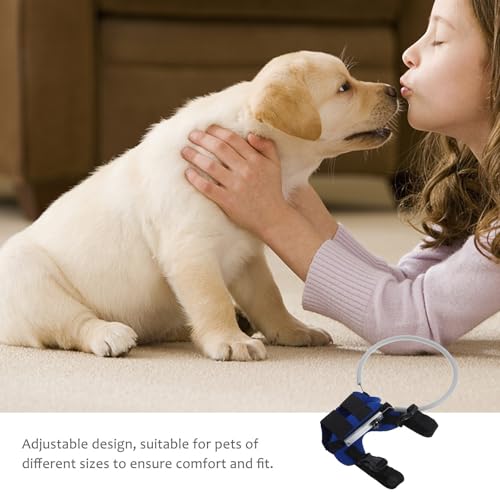 Aro anticolisión para mascotas GAROZATION con diseño funcional ajustable 7