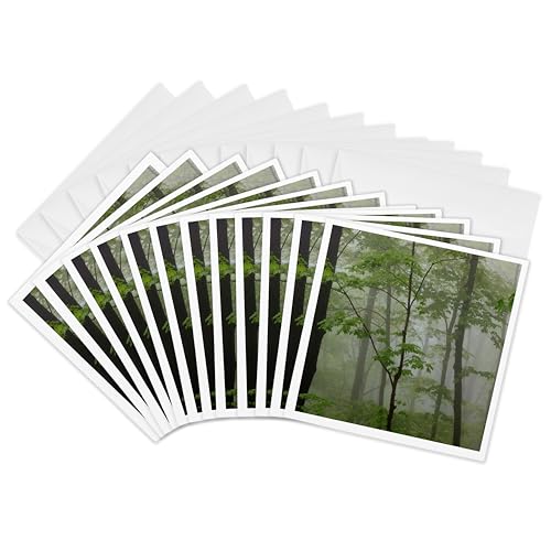 O[eBOJ[h - tH[NAO[gX[L[RAelV[AAJ - US43 JWL0078 - WAEEFY - 12pbN - elV[B