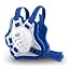 Translucent / Royal Blue / Royal Blue