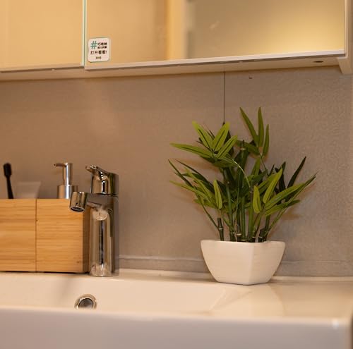 365 Blooming Decor 部屋を彩るミニ人工竹2個セット(高さ26cm) - ブラック＆ホワイトのテラコッタ鉢入り - お手入れ不要で長持ち [5]