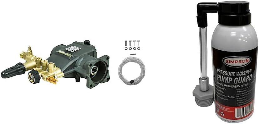 AAA 90037 Horizontal Triplex Plunger Replacement Pressure Washer Pump Kit, Black & Cleaning 80273 Pressure Washer Pump Guard 4 fl. oz. Aerosol Can, Black/RED