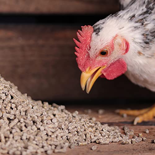 hühnergold® ProNatur Hühnerkorn 10 kg – Bio Premium Hühnerfutter, optimal mineralisiert, mit Bierhefe & Oregano-Öl, Alleinfutter für gesunde & Vitale Hühner, gentechnikfrei & ohne Palmöl