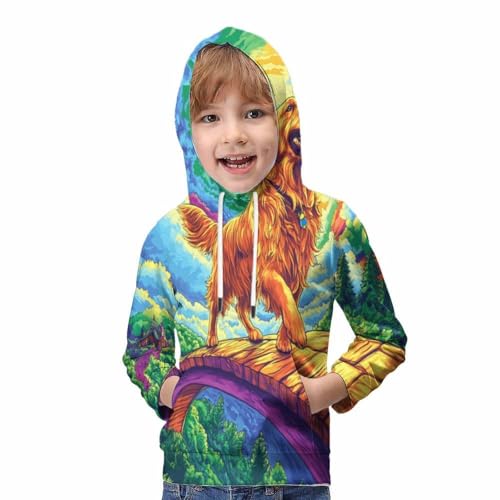 Sweatshirt Labrador Retriever 3D pull ado capuche sweat hiver 9-11Y