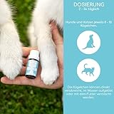 Notfall Bachblüten Globuli für Hunde & Katzen – 1.200 Bio-Zucker Globuli gegen Panik und Schock – Natürliche Beruhigungstabletten für Hunde als Blütenessenz