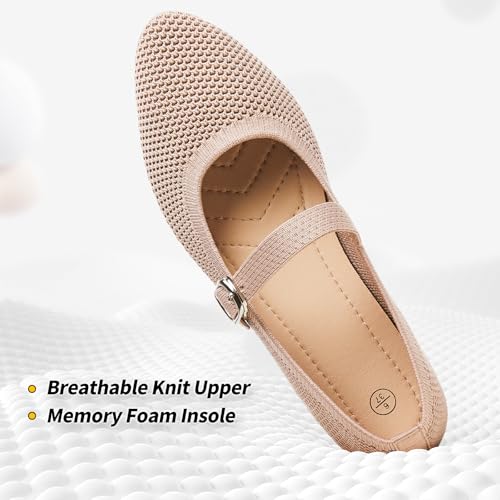 BABUDOG Mesh Ballet Flats for Women,Women's Mary Jane Flats with Buckle Strap,Black Nude Foldable Flats Shoes for Women,Comfortable Dress Shoes2