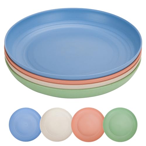 CSYY Juego de platos grandes para acampar de 10 pulgadas, 4 platos de plástico irrompibles, platos hondos para la cena, platos de picnic reutilizables para ensaladas, pastas, fiestas, hogar