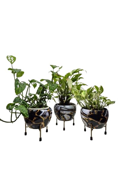 Podhghar Apple Metal Pot with Stand, Pack of 3, for Indoor/Outdoor Use, Home/Office Decor (B0DC1KSNT6) Amazon Price History, Amazon Price Tracker