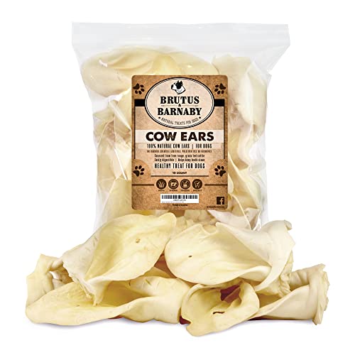 The Benefits of Water Buffalo Ears for Dogs A Healthy and Delicious Snack!