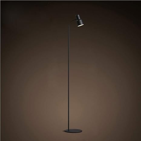 FWZJ LED staande lamp woonkamer warm wit vloerlicht eetkamer oogverzorging met flexibele zwanenhals metalen voet staande leeslamp voor slaapkamer kantoor en slaapzaal, zwart