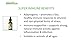 Animal Essentials Super Immune for Dogs & Cats - Immune System Support Supplement, Echinacea, Eleuthero, Olive Leaf Extract, Liquid Drops - 1 Fl Oz