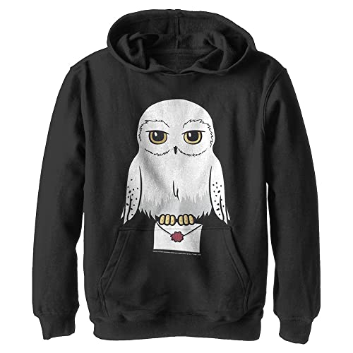Sweat à capuche Harry Potter enfant coton doux anti-frissons