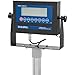 Global Industrial NTEP Bench Scale with LCD Display, 100 lb x 0.2 lb
