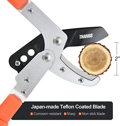 Ébrancheur extensible Thanos pour tailler les branches hautes sans échelle - 3