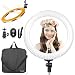 LimoStudio 18 Inch Bi-color LED Ring Light for Video & Photography, Color Temperature Adjustable & Brightness Control Dimmer Switch, Camera Mounting Adapter Bracket, AGG2394V3