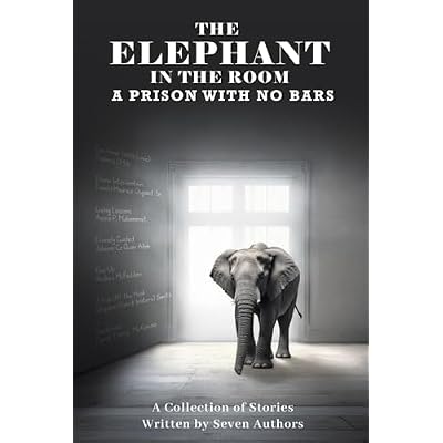 The Elephant in The Room