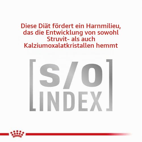 Royal Canin Veterinary Diabetic | 4er Pack | 4 x 12 x 85 g | Diät-Alleinfuttermittel für Katzen | Zur Regulierung der Glucoseversorgung | Mit feinen Stückchen in Soße