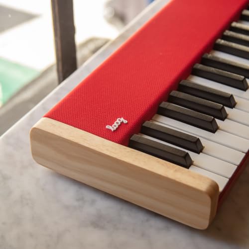 Image of Loog digital piano - portable keyboard for beginners with musician grade sound, MIDI over USB-C rechargeable musical educational instrument (Loog piano bundle)