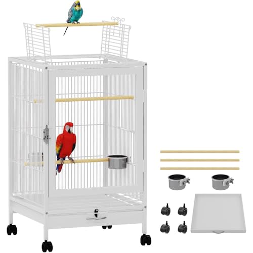 uNexPonv IEP[W ^  LX^[t  ƁALXy[XAKтɂ CRp Xy[X ^`^ 㕔ɗJƓVt og[ jo[TtbgOňړyX V ANŃX[Y