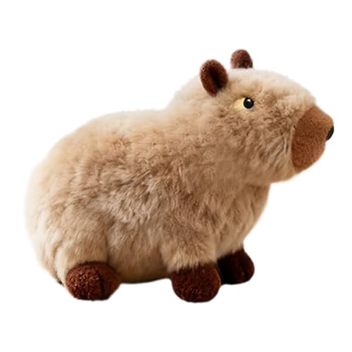 �ʂ������ ���p�������� - �J�s�o�� �N�����N���� �X�N�C�[�J�[�t�� - ��ʂ������ ���p�������� | �q�� ���ނ������� �F�m�g���[�j���O ���^�� ���^�� ��^�� �������� �j��h�~