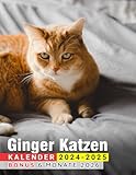  Ginger Katzen Kalendar 2024 - 2025: Drei Jahres Kalender, 30 Bilder von Ginger Katzen, Jan 2024 bis Jun 2026, 17\