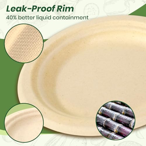 Image of 9 Inch Disposable Paper Plates 50 Pack, Heavy Duty Bagasse Plate