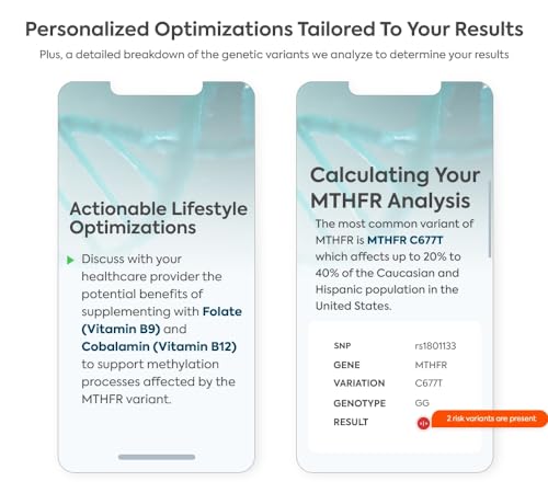 image for LifeDNA Methylation Genes Test Kit Includes MTHFR Analysis | Analyzes 