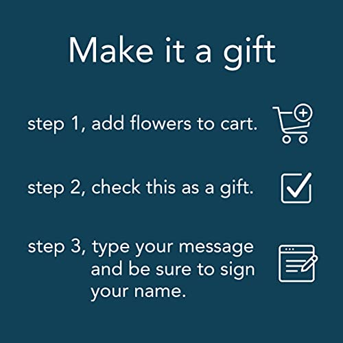 Benchmark Bouquets AR-16701 16 Stem Chrysanthemum Daisies, Glass Vase Included, Gift Fresh Flowers thumb #5