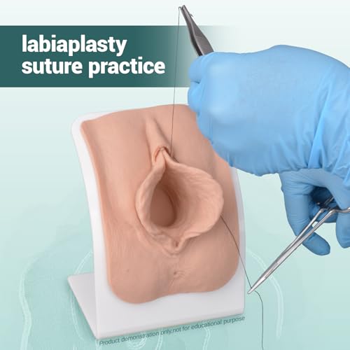 Labiaplasty modèle de suture vaginale pour ateliers de consultation médicale