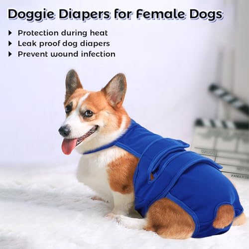 Image of QBLEEV Female Dog Diapers with Adjustable Suspenders - Washable Sanitary Panties for Dogs in Heat or Incontinence, Escape-Proof Reusable Pet Period Underwear Onesie for Small to Large Breeds