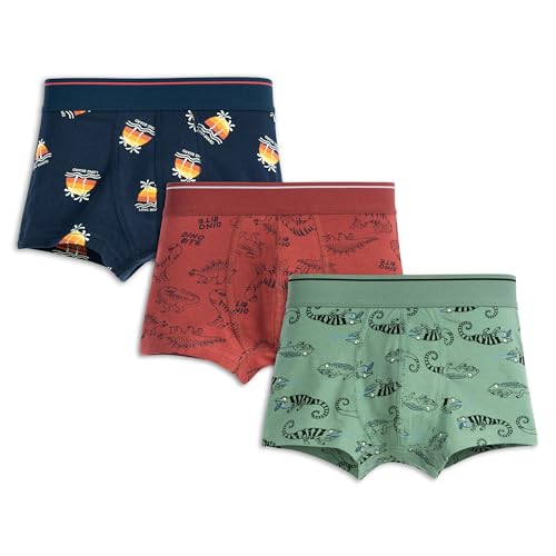 Image of ARIEL Boys Cotton Boxers (Pack of 3)