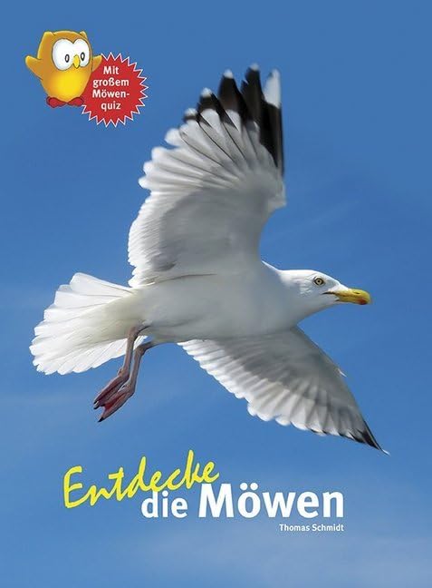 Entdecke die Möwen: Mit großem Möwenquiz (Entdecke - Die Reihe mit der Eule: Kindersachbuchreihe)