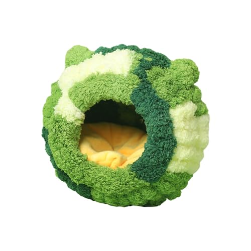 ̑IEnbNxbh̒̉ƃybgCRIEp