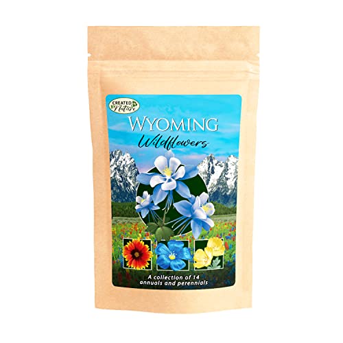 Created By Nature Wyoming Wildflower Seed Mix, 14 Flower Varieties,