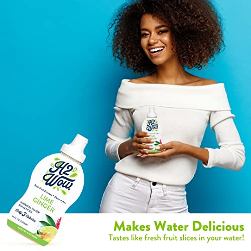 H2Wow Water Enhancer Drops – Organic & Natural Extracts Of Real Fruit - A Hint Of Organic Stevia - Delicious Lime Ginger Flavored Water 11Oz/125 Servings #TOP2