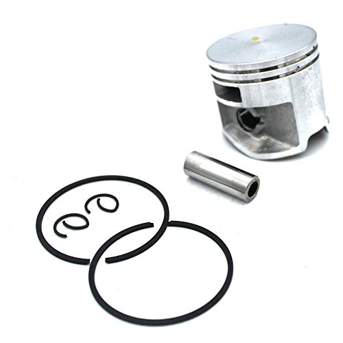 P SeekPro Nikasil Cylinder Piston Kit 44mm for Stihl MS251 MS251C MS251CBE MS251CBE-2Mix MS251 2-Mix MS251C-BEQ MS251C-BEQ Z MS251Z Chainsaw PN 1143 020 1203 1143 020 1207