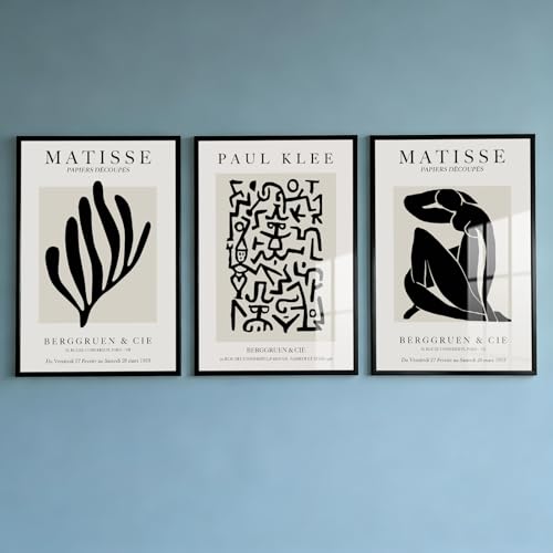 PWAAHDC 3-teilige bilder Wohnzimme Modern - Matisse Poster Aesthetic Set -...