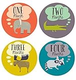 Lucy Darling Little Animal Lover Monthly Stickers