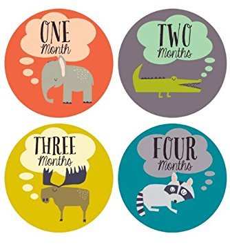 Lucy Darling Little Animal Lover Monthly Stickers